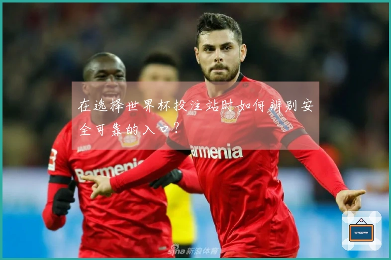 在选择世界杯投注站时如何辨别安全可靠的入口？